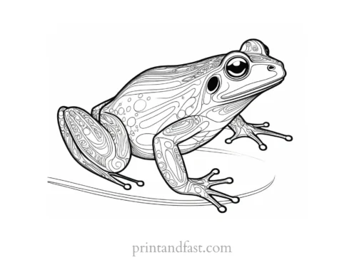 intricate frog coloring page