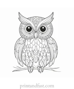 intricate owl coloring page