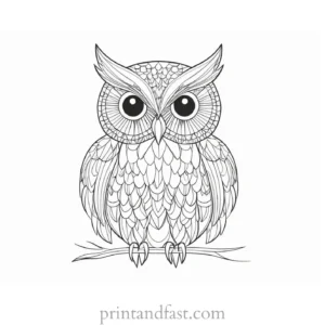 intricate owl coloring page