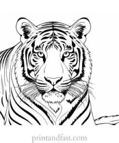 intricate tiger coloring page