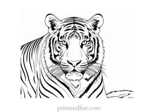 intricate tiger coloring page