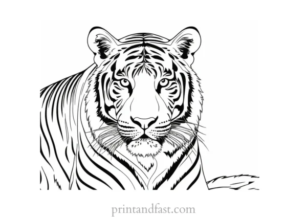 intricate tiger coloring page