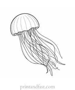 jellyfish coloring page cartoon