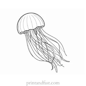 jellyfish coloring page cartoon