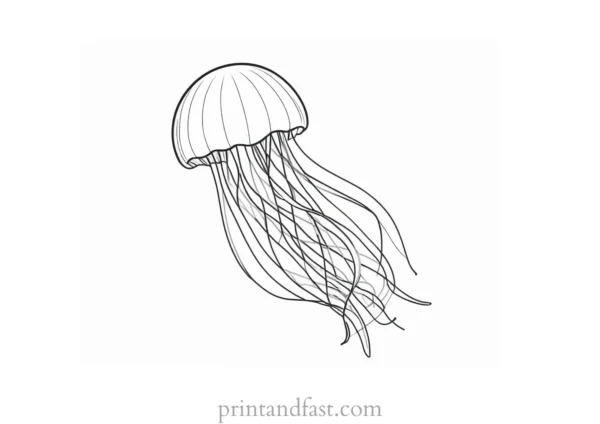 jellyfish coloring page cartoon