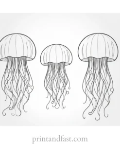 jellyfish coloring page cute