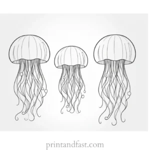 jellyfish coloring page cute