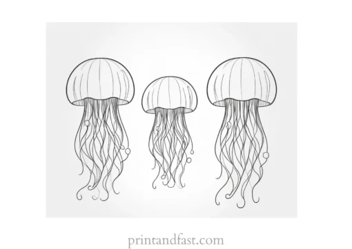 jellyfish coloring page cute