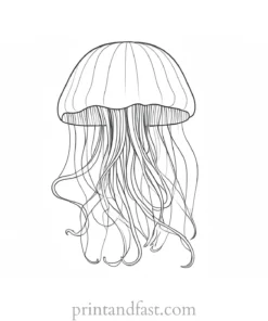 jellyfish coloring page detailed