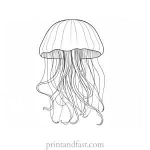 jellyfish coloring page detailed