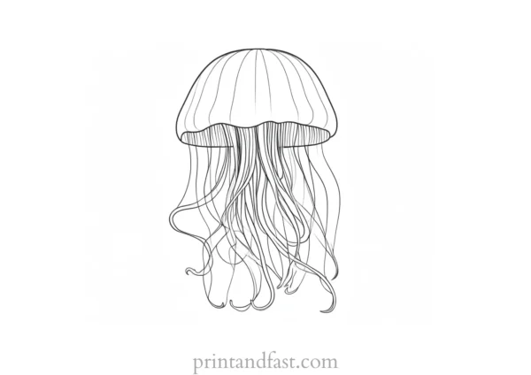 jellyfish coloring page detailed