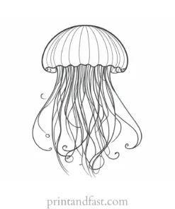 jellyfish coloring page easy