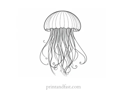 jellyfish coloring page easy