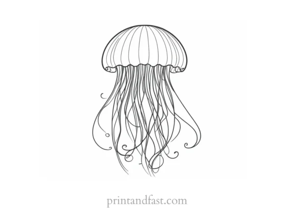 jellyfish coloring page easy