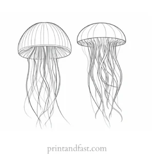 jellyfish coloring page for adults