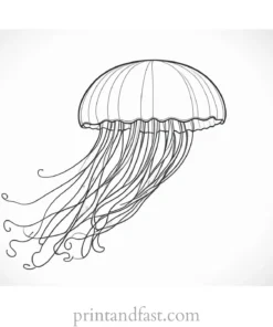 jellyfish coloring page for kids