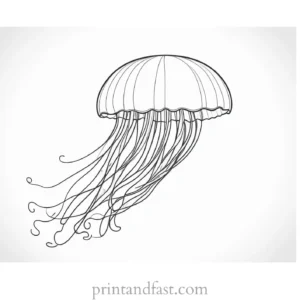 jellyfish coloring page for kids