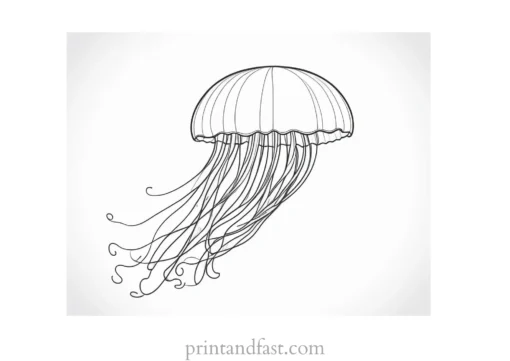 jellyfish coloring page for kids