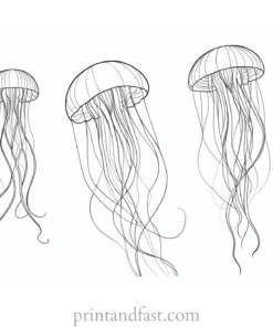 jellyfish coloring page free