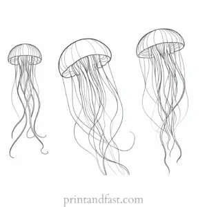 jellyfish coloring page free