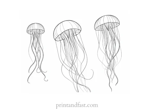 jellyfish coloring page free