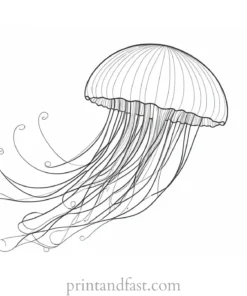 jellyfish coloring page ocean