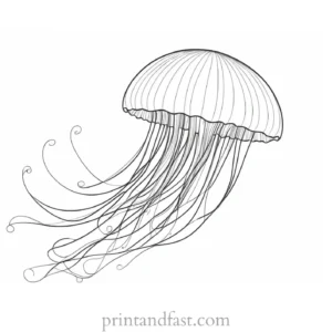 jellyfish coloring page ocean