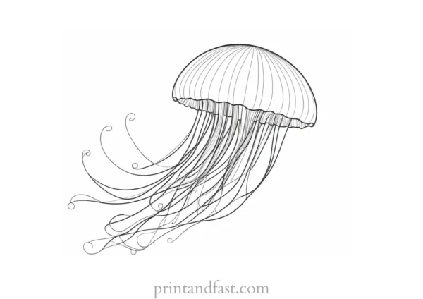 jellyfish coloring page ocean