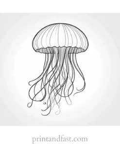 jellyfish coloring page pattern