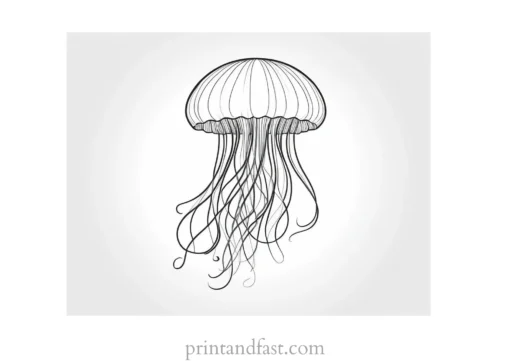 jellyfish coloring page pattern