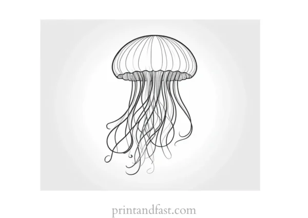 jellyfish coloring page pattern