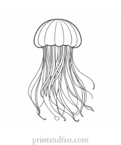 jellyfish coloring page preschool