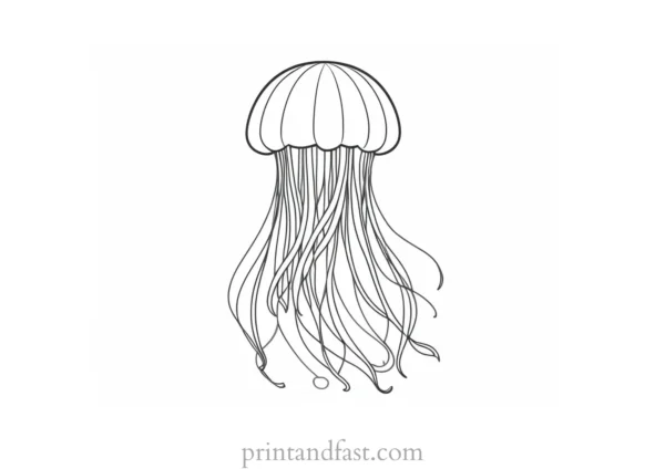 jellyfish coloring page preschool