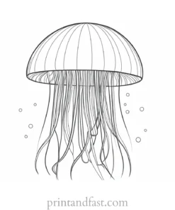 jellyfish coloring page printable