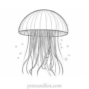 jellyfish coloring page printable