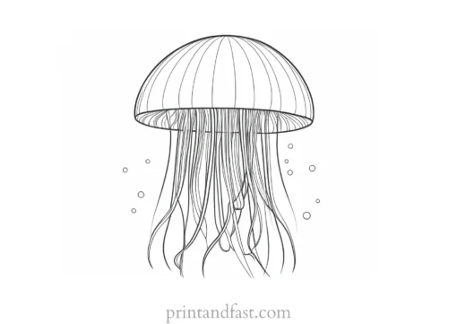 jellyfish coloring page printable