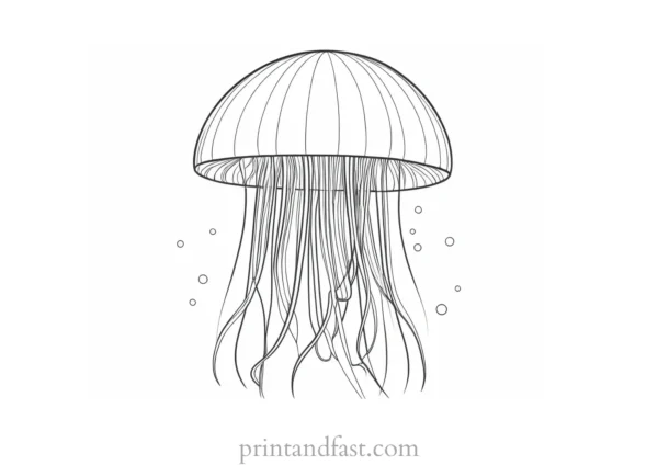 jellyfish coloring page printable