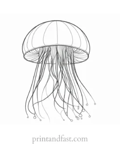 jellyfish coloring page realistic