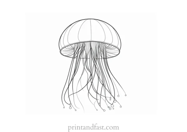 jellyfish coloring page realistic