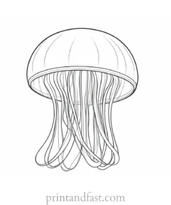 jellyfish coloring page simple