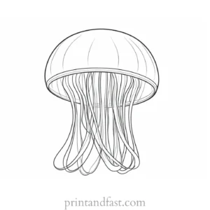 jellyfish coloring page simple