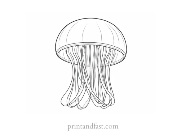 jellyfish coloring page simple