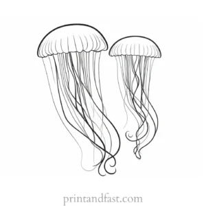 jellyfish coloring page template