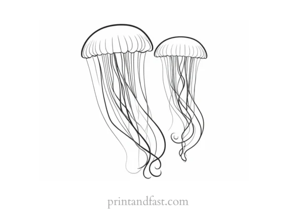 jellyfish coloring page template