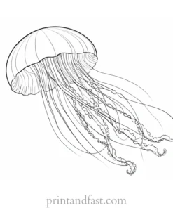 jellyfish coloring page underwater