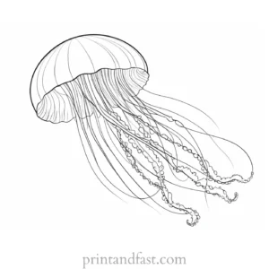 jellyfish coloring page underwater