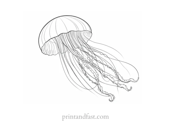 jellyfish coloring page underwater