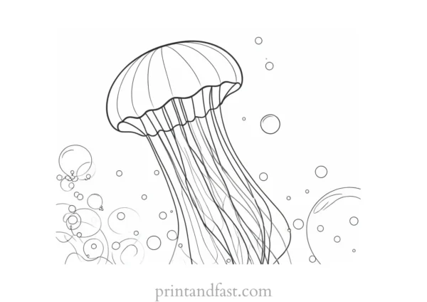 jellyfish coloring page with bubbles