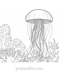 jellyfish coloring page with coral