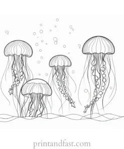 jellyfish coloring page with fish